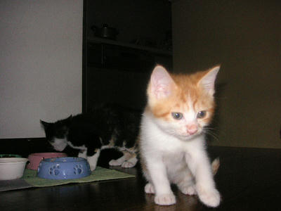 PICT0018.JPG