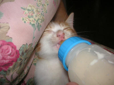 PICT0198.JPG