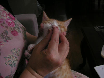 PICT0200.JPG