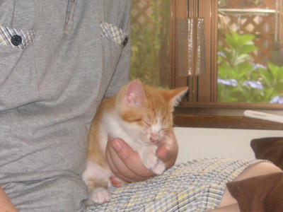 PICT0207.JPG