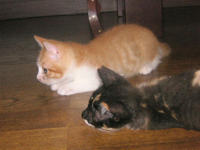 PICT0224.JPG