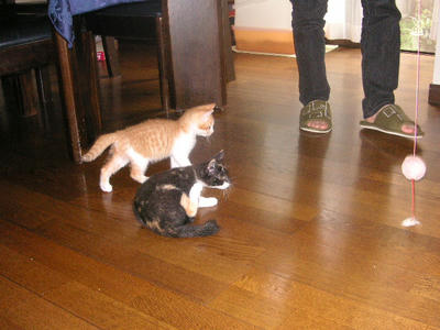 PICT0232.JPG