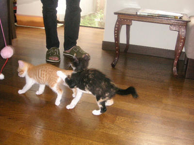 PICT0233.JPG
