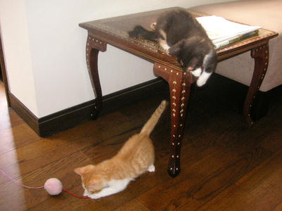 PICT0257.JPG