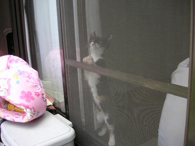 PICT0415.JPG