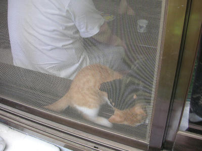 PICT0419.JPG
