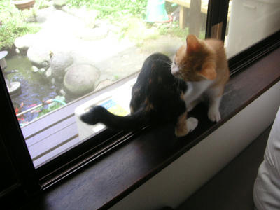 PICT0420.JPG