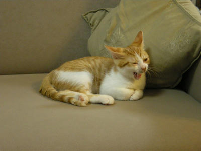 DSCN0781.JPG