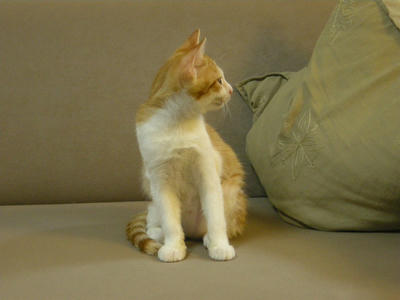 DSCN0787.JPG