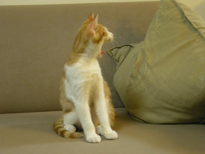 DSCN0788.JPG