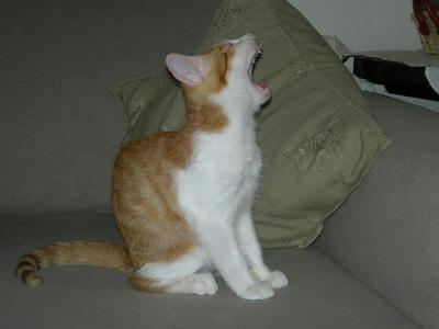 DSCN0797.JPG