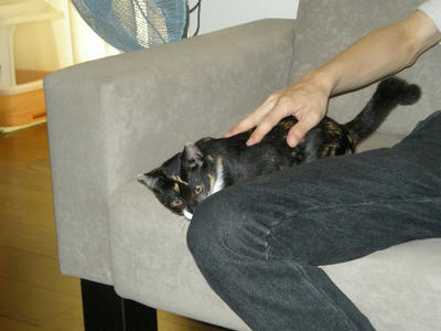 DSCN1224.JPG