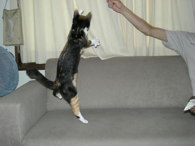 DSCN1269.JPG