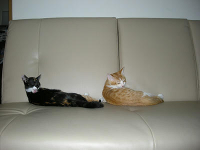 DSCN1312.JPG