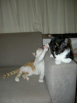 DSCN1315.JPG
