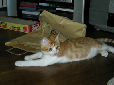 DSCN1209.JPG