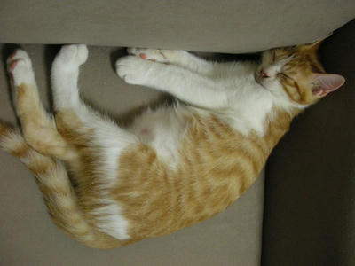 DSCN1360.JPG