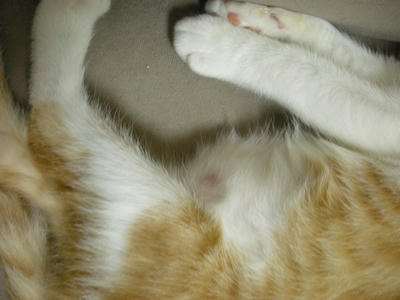 DSCN1359.JPG