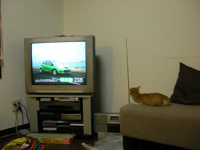 DSCN1410.JPG
