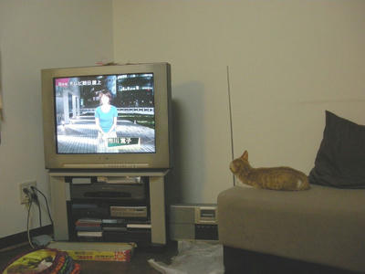 Dscn1411.jpg