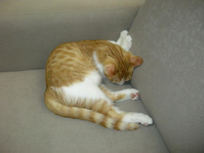 DSCN1425.JPG