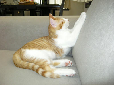 DSCN1431.JPG