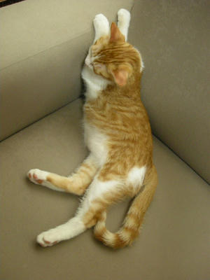 DSCN1438.JPG