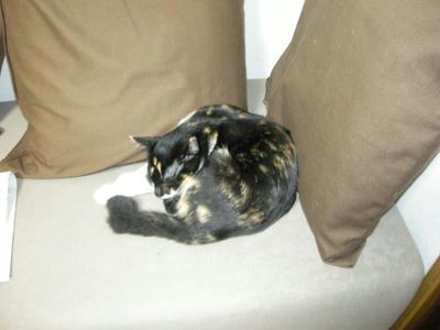 DSCN1452.JPG