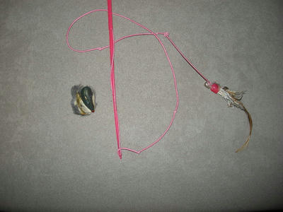 DSCN1501.JPG