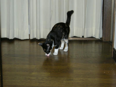 DSCN1465.JPG