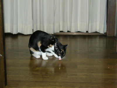 DSCN1466.JPG