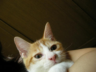 DSCN1474.JPG