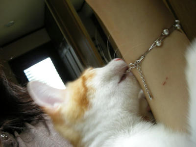 DSCN1475.JPG