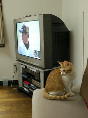 DSCN1507.JPG