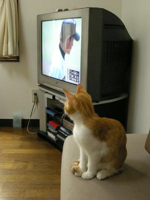 DSCN1509.JPG
