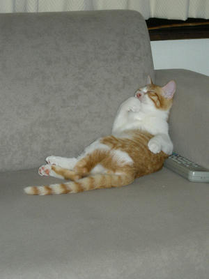 DSCN1635.JPG