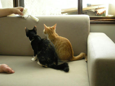 DSCN1484.JPG