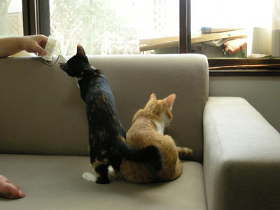 DSCN1485.JPG