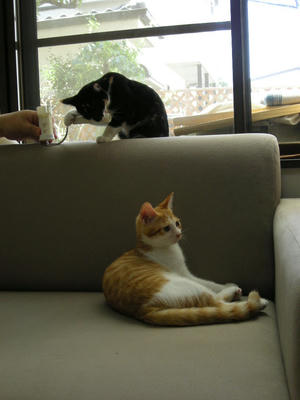 DSCN1493.JPG