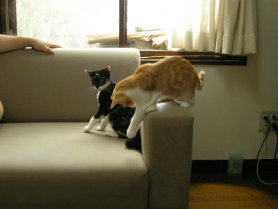 DSCN1535.JPG