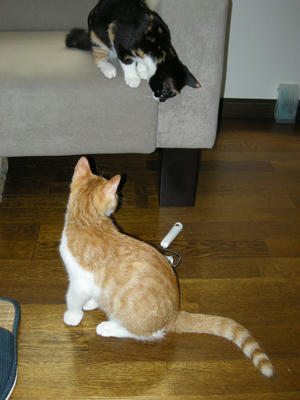 DSCN1536.JPG