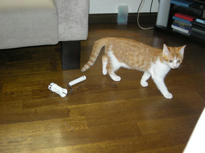 DSCN1537.JPG