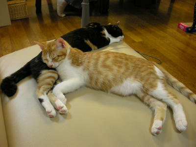 DSCN1662.JPG