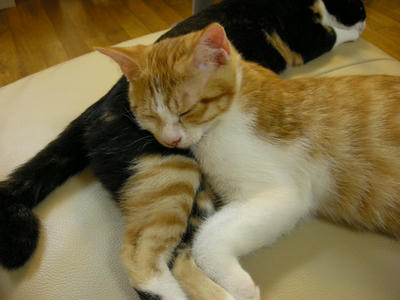 DSCN1664.JPG