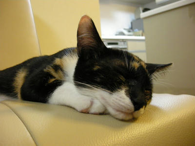 DSCN1666.JPG