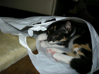 DSCN1754.JPG