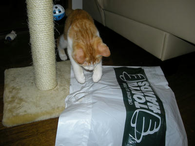 DSCN1755.JPG