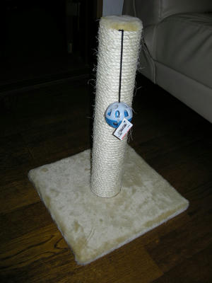 DSCN1735.JPG