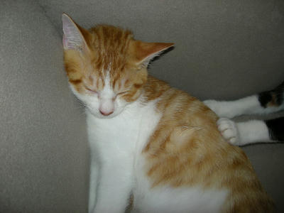 DSCN1654.JPG