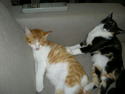 DSCN1655.JPG